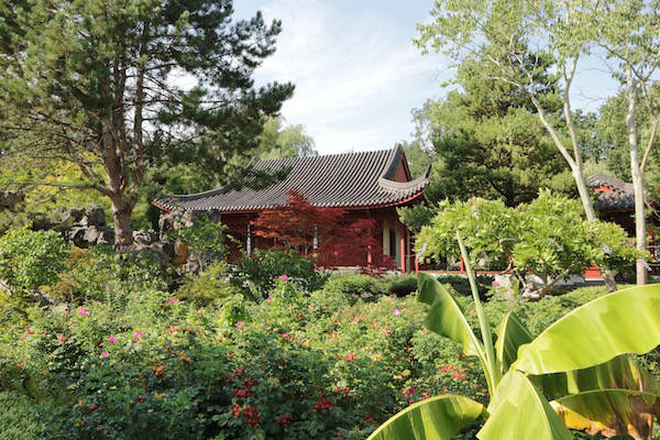 Hortus botanicus Haren-Groningen: Tuin in bloei